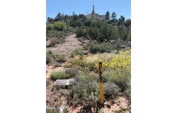 24 S Temple Circle, Snowflake, AZ 85937