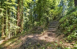 1130 Blue Ridge DR, BOULDER CREEK, CA 95006