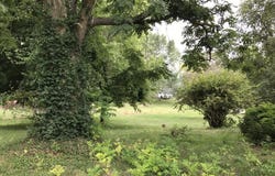 N Lincoln, Riverton, IL 62561