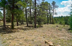 Hummingbird Trail, Ridgway, CO 81432