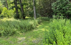 Route 209, Wawarsing, NY 12489