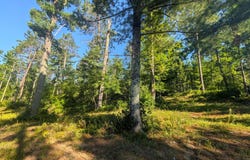 3380 W Highway 63, Springbrook, WI 54875
