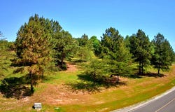 1899 River Bluffs Drive, Jasper, TN 37347