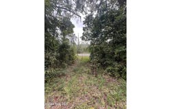 Us-264, Belhaven, NC 27810