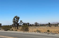 Bear Valley Road, Pinon Hills, CA 92372