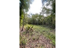 HWY 361, Steinhatchee, FL 32359