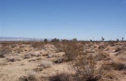 426 Gerber Avenue 428, Landers, CA 92285