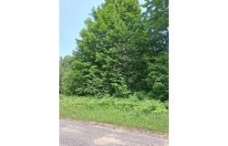 Crestwood Drive lot: 569, Mancelona, MI 49659