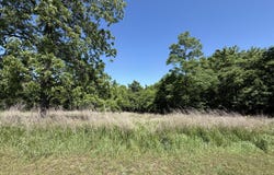 S 1507 Road, Stockton, MO 65785