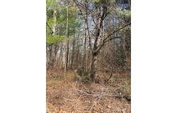 1304 Us Route 209, Cuddebackville, NY 12729