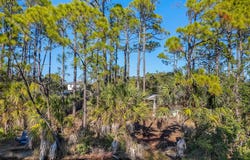 202 Harbor Circle, Alligator Point, FL 32346