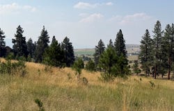 984 Sandhill Loop, Florence, MT 59833