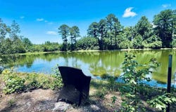 5326 Judson Rd, Clio, SC 29525