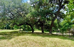 359 Bud Danner Dr, Leakey, TX 78873