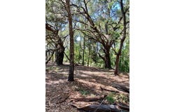 NW 134TH Drive, ALACHUA, FL 32615