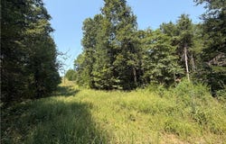 41 +/- acres Inlet Road, Versailles, MO 65084