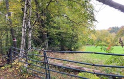 Bugbee Road, Springfield, VT 05156