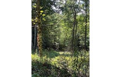 Abigail Lane, Deep Gap, NC 28618