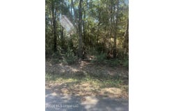 Darling Road, Pass Christian, MS 39571