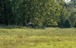 630 Schultz Mt. Road, Meherrin, VA 23954