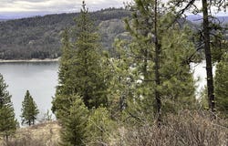 nka Cork, Priest River, ID 83856