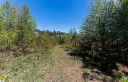 3219 Nugent Road, Frankfort, MI 49635