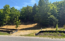 E Hoxie Road, Cedar, MI 49621