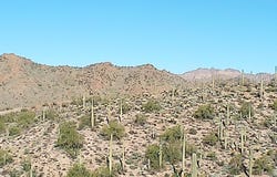 E Silver Tip Road, Queen Valley, AZ 85118