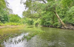 7135 Hwy 124, Quitman, AR 72131