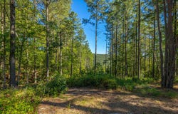 Split Rail Way lot: 1372, Guild, TN 37340