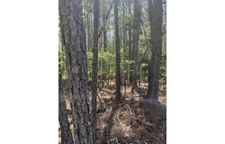 L14 B39 Antioch Drive, McCormick, SC 29835