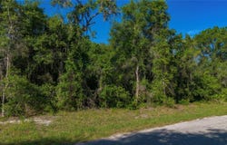 4374 E MATE Lane, HERNANDO, FL 34442