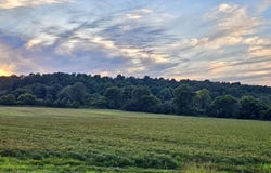 207 CR 478, Rector, AR 72461