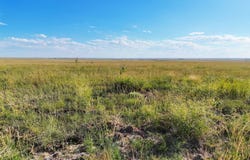 County Road 37, Hartman, CO 81043