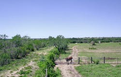 2103 COUNTY ROAD 138, Kenedy, TX 78119