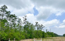 Cravens Camp Rd., Silsbee, TX 77656
