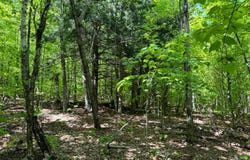 1.1 Cobble Creek Rd., Chester, NY 12853