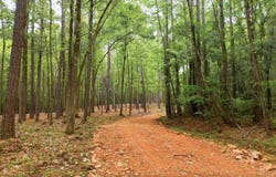 799 MAGNOLIA LANE lot: 1, VANDIVER, AL 35147
