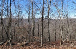 4795 Madison, Pettigrew, AR 72752