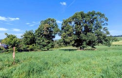 Floyd Highway lot: 2, Floyd, VA 24091