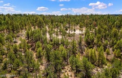2975 Canary Lane, Heber, AZ 85928