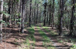 1500 Blackmon Rd, BRANTLEY, AL 36009