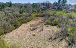 Hwy 71 N, Gillham, AR 71841