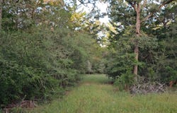 Ranch Land Easley Rd, Smithville, TX 78957