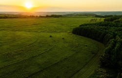 Cass Hollow Rd, Montfort, WI 53569