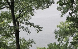 79 Shoreline Circle, Austin, KY 42123