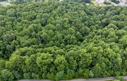 ORCHARD Drive, Pembroke, VA 24136