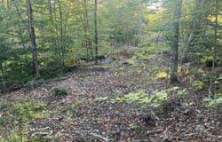 Flagg Mill Road, Naples, ME 04055