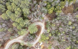 Juniper Meadow Road, Danbury, NH 03230