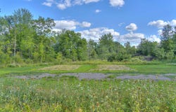 VL Spring Arbor Rd, Jackson, MI 49201